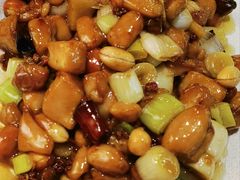 -陈麻婆豆腐(旗舰店)