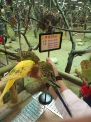 -趣80儿童乐园(砂之船合肥奥特莱斯店)
