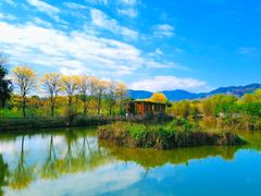 -天适樱花悠乐园