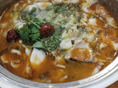 酸菜鱼-龙梅肥肠鱼(明瓦廊店)