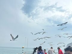 -海驴岛(荣成市)