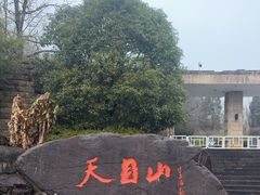 -东天目山风景区