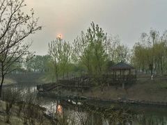 -大兴滨河森林公园