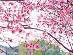 -桂林资江天门山风景区