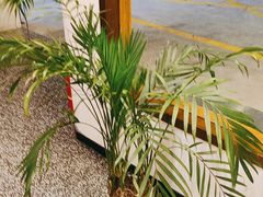 -猫公子纸上烤鱼烧烤•Bistro小酒馆(钱江世纪城店)