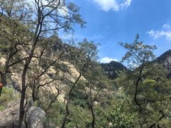 -泰山风景名胜区