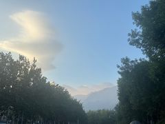 -雾与山茶(大禹城店)