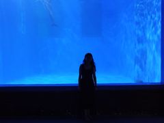 -多彩贵州城极地海洋世界