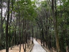 -火炉山森林公园
