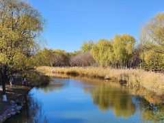 -大兴滨河森林公园