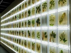 -广东中医药博物馆