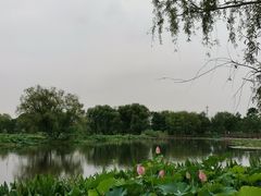 -长兴太湖图影湿地文化园
