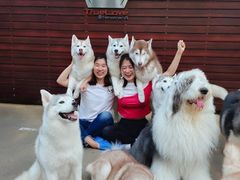 -TrueLove @ Neverland (Husky Cafe)