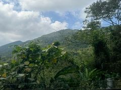 -海南热带雨林国家公园吊罗山景区