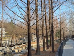 -白水寺森林公园