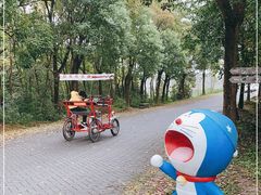 -上海海湾国家森林公园