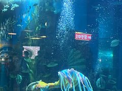 -顺德南宏海立方海洋公园