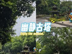 -忠山公园
