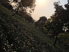 -帐篷客·溪龙茶谷度假酒店