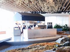 -Seesaw Coffee(朝阳大悦城店)