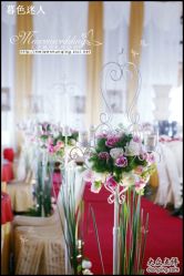 美雯苏宁卢浮宫-苏宁环球套房饭店·宴会厅