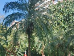 -人民公园(罗湖区)