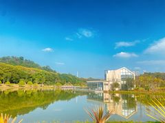 -东莞植物园
