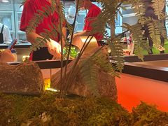 -西塔老太太泥炉烤肉(上海七宝领展广场店)