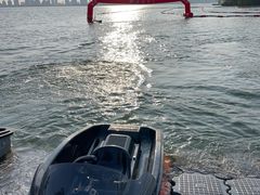 -金鸡湖桃花岛
