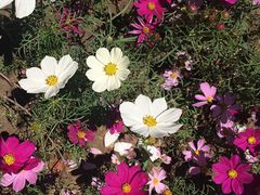 -天津东丽湖风景区