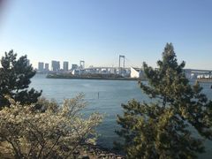 -台场海滨公园船码头