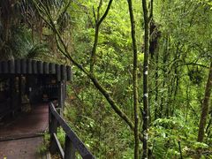 -怀托摩萤火虫洞