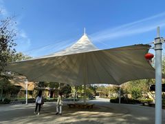 -合肥滨湖国家森林公园