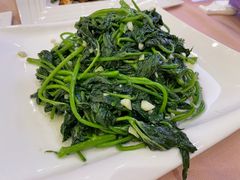 -宝园酒家(美林M·LIVE天地东座店)