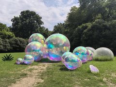 -上海共青森林公园