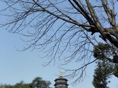 -河坊街景区