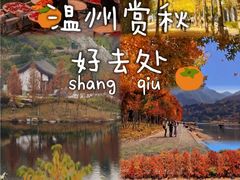 -林坑古村落