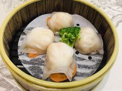 水晶鲜虾饺-香云轩·顺德菜(香云纱园林酒店店)