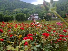 -镇坪县曙坪小学