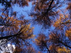 -硗碛藏寨·神木垒景区