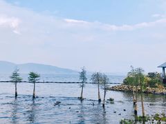 -大理洱海