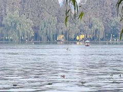 -浙江西子宾馆·瑶园咖啡厅