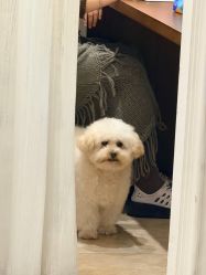 -WAVE SODA摄影工作室