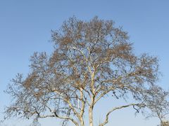 -幕燕滨江·燕子矶公园