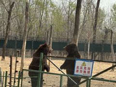 -秦皇岛野生动物园