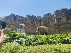 -成都动物园