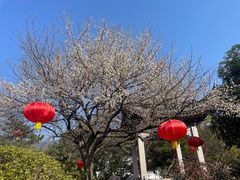 -台州府城(东湖)