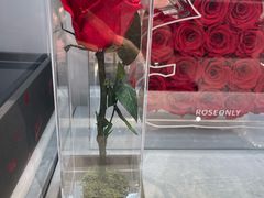 -ROSEONLY诺誓(广州K11店)