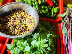 -雅和生态渔庄·宜城锅巴饭(龙灵山公园店)