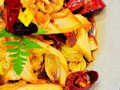 -鸢飞潍坊菜馆(鸢飞大酒店)